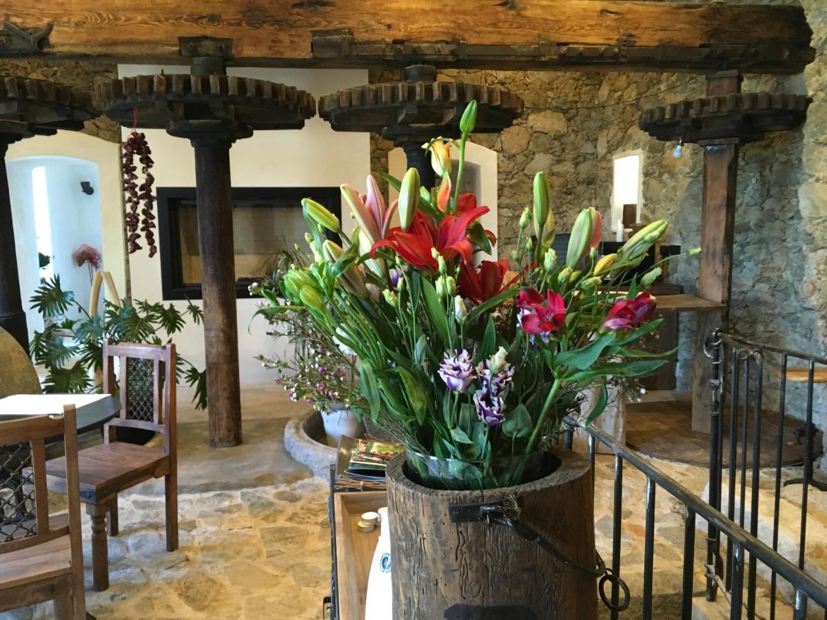 Chambres D'Hotes - Mulino Nannare Ville-di-Paraso Exteriér fotografie