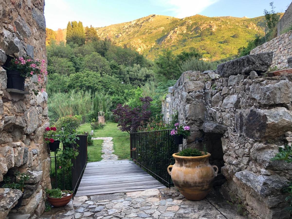 Chambres D'Hotes - Mulino Nannare Ville-di-Paraso Exteriér fotografie