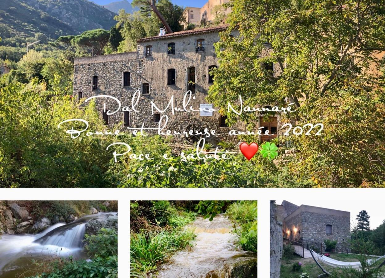 Chambres D'Hotes - Mulino Nannare Ville-di-Paraso Exteriér fotografie